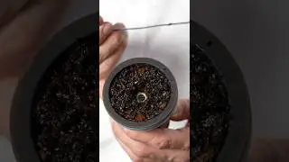 Правильный способ набить чашу #кальян #шиша