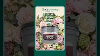 为什么农场主选择 Monster Bloom
