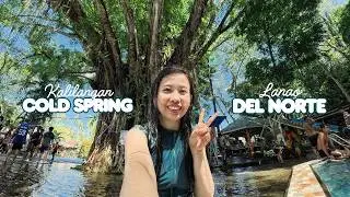 Kalilangan Cold Spring | A family getaway | Lanao Del Norte