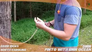 DMM Pinto with 8mm Ocean - TreeStuff Customer David Ricks' Review In The Field