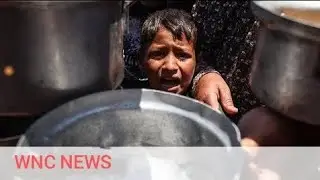 The News agencies' film calling on Israel to allow foreign journalists into Gaza | WNC News