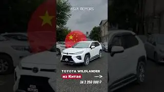 БРАТ RAV4 из Китая🔥#toyota #wildlander #тойота #рав4 #automobile #auto #car #авто #машина #обзор