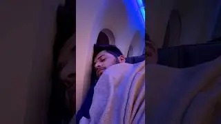 Worth flight from USA to India 🇮🇳 #americanairlines #flight #usatoindia