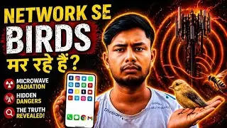क्या Mobile Network Radiation से Birds और Bees मर रहे हैं? | Microwave Truth Explained