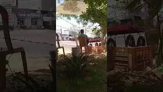 Rajesh Pilot Chowk Rewari #rewari #chowk #travel #youtubeshorts