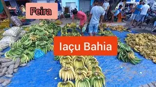 Ia&ccedil;u Fair: Tradition, Flavors and Joy in the Heart of Bahia
