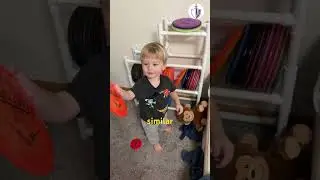 My Son Shows You a Different Disc Each Day Until I Run Out (Day 4)