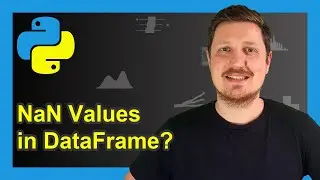 Check If Any Value is NaN in pandas DataFrame (Example) | Test for Missings | isnull & any Functions