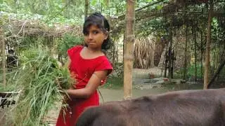 Landesa and the Power of Land Rights