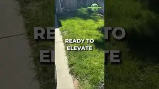 🎥 Curb to Garden &mdash; and Everything in Between!