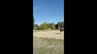 Alex: Arab cross quarter horse gelding in California Nov2025