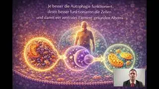 Longevity: Die Bedeutung von Autophagie