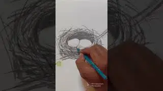 How to draw nest #shorts #nest