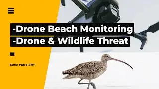 Daily Drone Beach Monitoring, Drones Damaging Wildlife Research