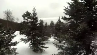 Reggae 25, Sugarloaf, Maine