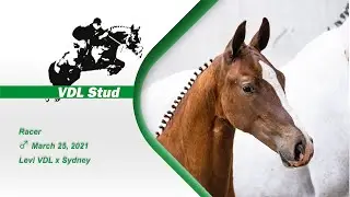 Racer &ndash; Colt &ndash; Levi VDL x Sydney