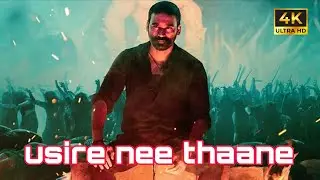 usire nee thaane song #lyrics #raayan #dhanush 
