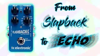 Tc electronic Flashback Delay & Looper  | Electro Harmonix Flatiron Fuzz