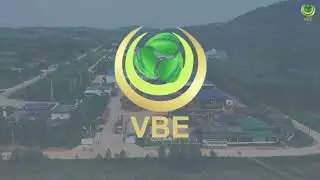 VBE Ha Tinh Factory - Eco-Clean Energy Wood Pellet