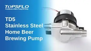 Stainless steel Beer transfer pump dc home beer brewing pump TOPSFLO TD5