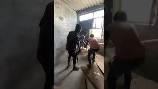 Mental case 😱 monkey attack 😥 #monkey #attack#shorts #viral #video