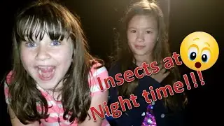 Catching insects at night time!