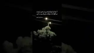 Verse of Quran #ayaats #quotes #shorts #poetry #trending
