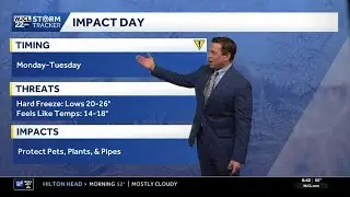 Sunshine and turning cold for the Savannah area