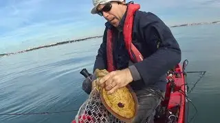 Octopus, Cuttlefish and Dolphins- Eging (Squid Jigging) #1 -Kayak Fishing - 1080HD 50fps
