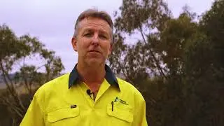 Hunting in NSW State forests