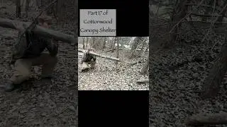 Part 17/26 survival shelter. Watch full vid on channel. #bushcraft #primitive #cool #survivalseries