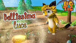Leo e Tig Italia 🐯🐆 ✨ Bellissima luce 💡 Cartone animato per bambini