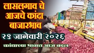 लासलगाव बाजार समिती आजचे कांदा बाजारभाव Lasalgaon Onion Market Rate Today 29 January 2026