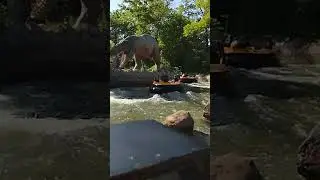 BEAUTIFUL THEMED Rapid River🦖 | Dino Splash at Holiday Park #ride #rapidriver #themepark #shorts
