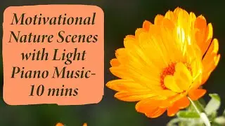 Motivational Nature Scenes with Light Piano Music 10 mins