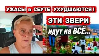 СЕУТА на ГРАНИ😥ОН лежал в моей КРОВАТИ😲,пробрался к пожилой женщине/ ОНИ открыли свой бар в Испании