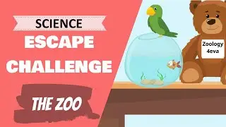Escape The Zoo - A Science Based Escape Room