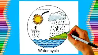 How to draw water Cycle drawing in step by step