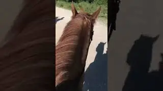 CAGİT DOĞAN binicilik eğitimi ve atlı ok&ccedil;uluk eğitimi i&ccedil;in dm
