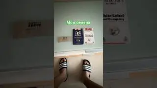 Моя коллекция семян - показываю, что у меня есть сейчас 🌱