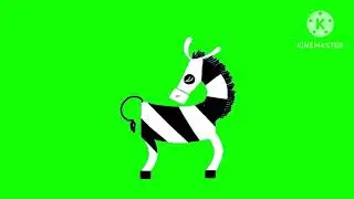 Animanimals - Jumping zebra is black and white green screen