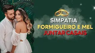 SIMPATIA DO FORMIGUEIRO E MEL PARA JUNTAR CASAIS