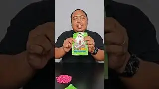 Apakah Warna Benih Jagung Ketan Ungu Varietas JANTAN F1 itu Berwarna Ungu Aslinya?Atau malah bukan? 