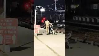 Local Dog bites *ss of thief in India