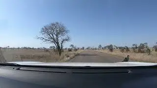 Journey Through South Africa A Road Trip Experience