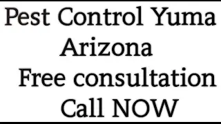 Pest Control Yuma Az