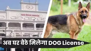 Lucknow Nagar Nigam: अब घर बैठे कर पायेंगे Online Dog Registration ! अभिनव वर्मा ने दी जानकारी