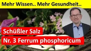 Schüßler Salz NR03 Ferrum phosphoricum D12