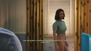 Fallout 4 prelude