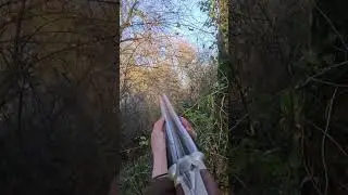 Tir d'une becasse au calibre 20 juxtapos&eacute; #hunting #becasse #calibre20
